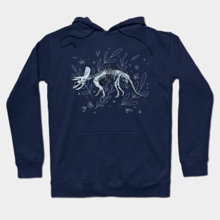 Extinct Hoodie